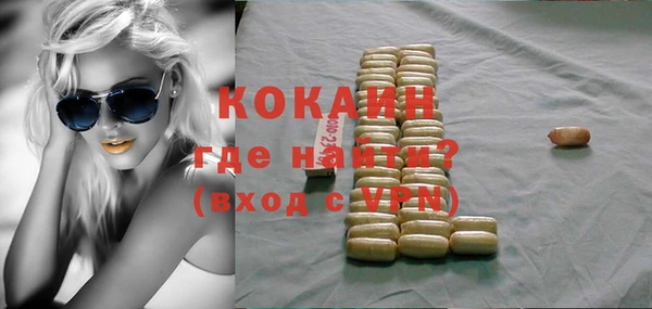 твердый Ладушкин