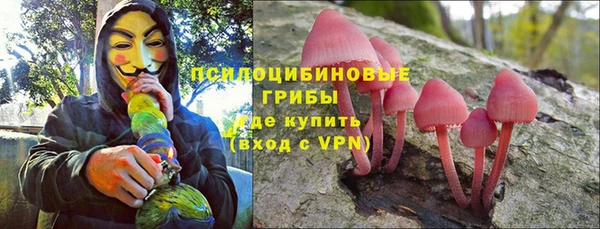 прущие грибы Кукмор