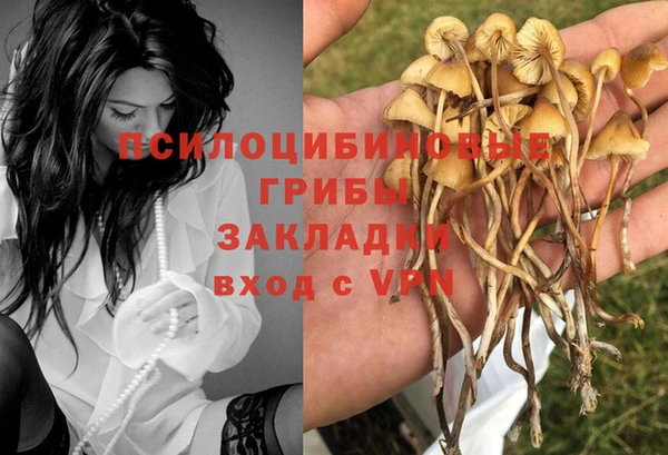 2c-b Кулебаки