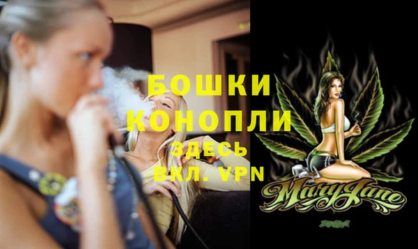мдпв Лагань