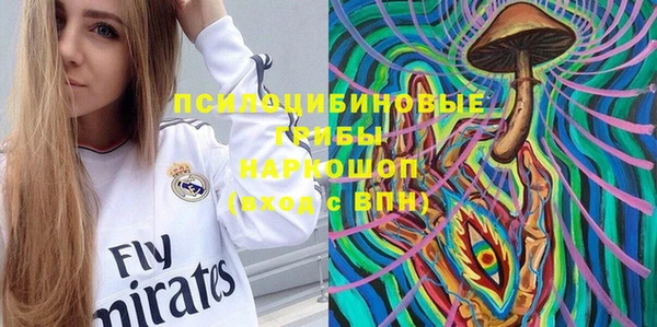 герыч Долгопрудный
